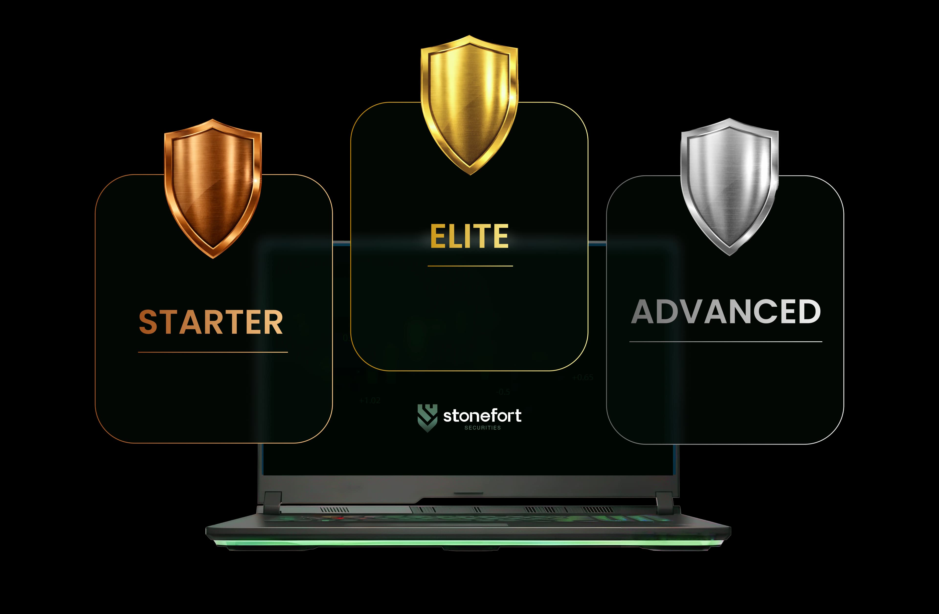 Stonefort Account Tiers